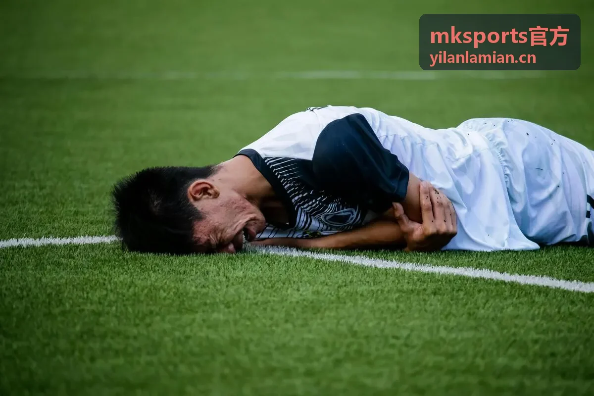 mksports官方专业订阅等级配图
