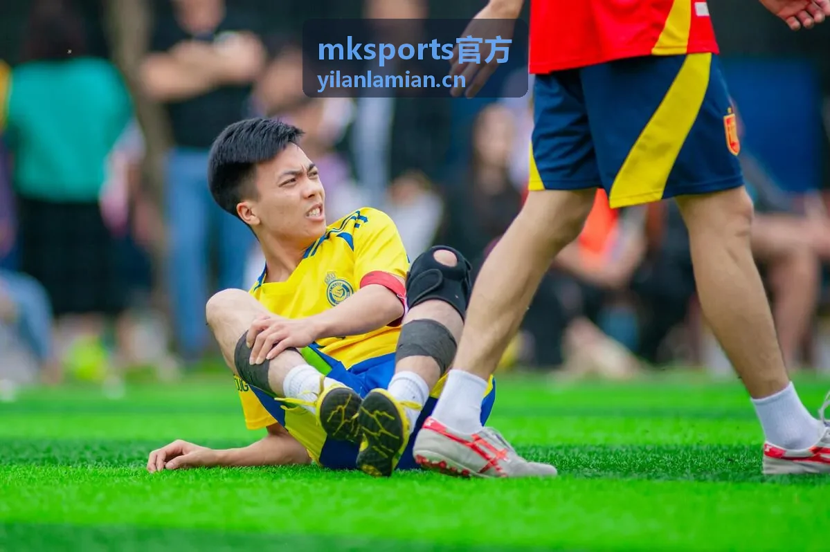 mksports官方团队协作等级配图